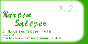 martin saltzer business card